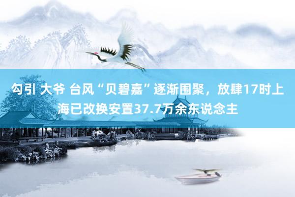 勾引 大爷 台风“贝碧嘉”逐渐围聚，放肆17时上海已改换安置37.7万余东说念主