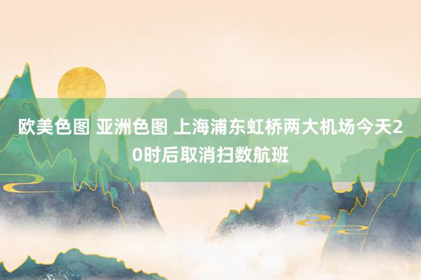 欧美色图 亚洲色图 上海浦东虹桥两大机场今天20时后取消扫数航班