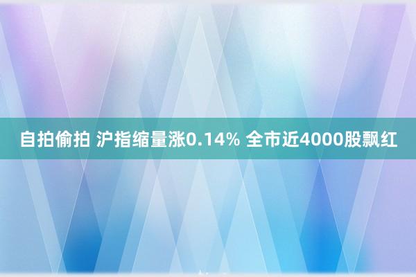 自拍偷拍 沪指缩量涨0.14% 全市近4000股飘红