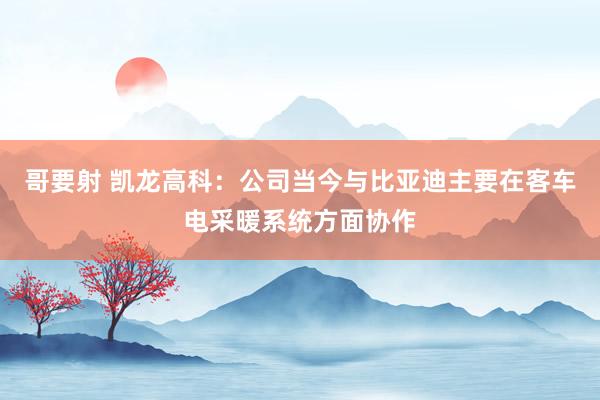 哥要射 凯龙高科：公司当今与比亚迪主要在客车电采暖系统方面协作