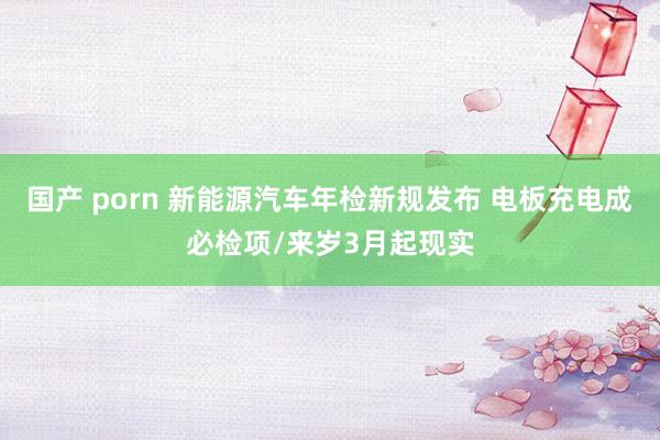 国产 porn 新能源汽车年检新规发布 电板充电成必检项/来岁3月起现实