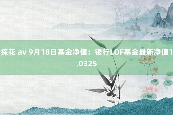 探花 av 9月18日基金净值：银行LOF基金最新净值1.0325