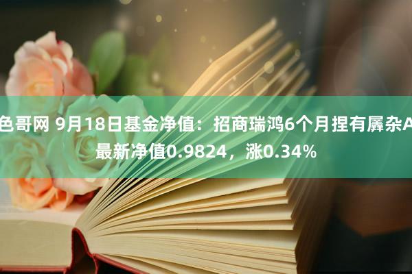 色哥网 9月18日基金净值：招商瑞鸿6个月捏有羼杂A最新净值0.9824，涨0.34%