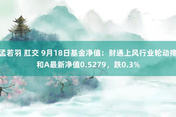 孟若羽 肛交 9月18日基金净值：财通上风行业轮动搀和A最新净值0.5279，跌0.3%