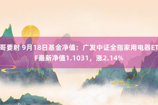 哥要射 9月18日基金净值：广发中证全指家用电器ETF最新净值1.1031，涨2.14%