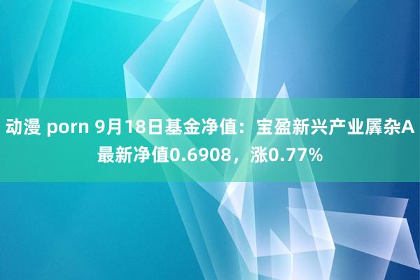 动漫 porn 9月18日基金净值：宝盈新兴产业羼杂A最新净值0.6908，涨0.77%