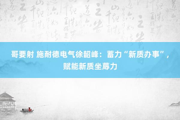 哥要射 施耐德电气徐韶峰：蓄力“新质办事”，赋能新质坐蓐力