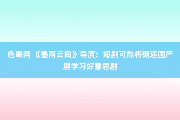 色哥网 《墨雨云间》导演：短剧可能将倒逼国产剧学习好意思剧