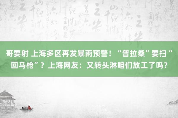 哥要射 上海多区再发暴雨预警！“普拉桑”要扫“回马枪”？上海网友：又转头淋咱们放工了吗？