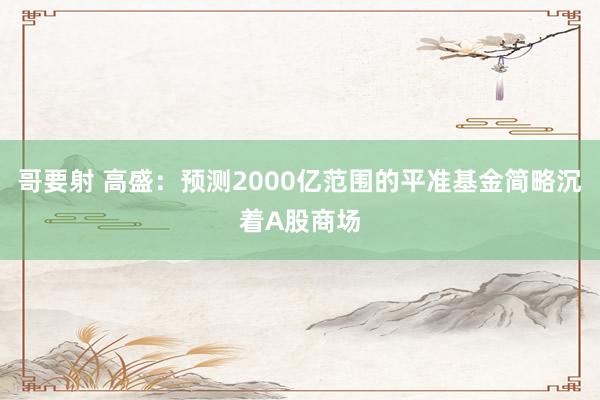 哥要射 高盛：预测2000亿范围的平准基金简略沉着A股商场