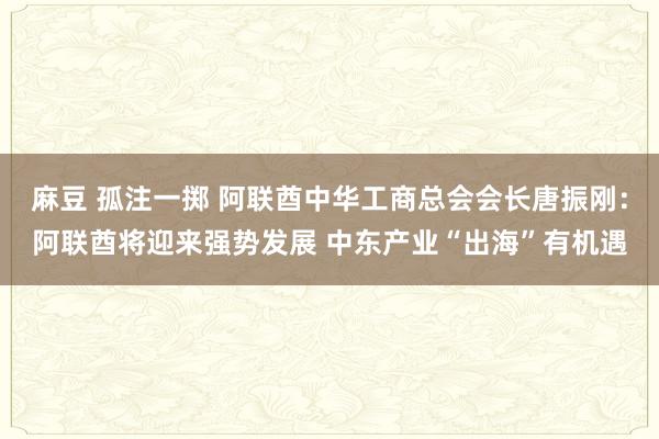 麻豆 孤注一掷 阿联酋中华工商总会会长唐振刚：阿联酋将迎来强势发展 中东产业“出海”有机遇