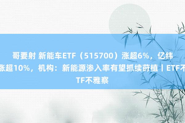 哥要射 新能车ETF（515700）涨超6%，亿纬锂能涨超10%，机构：新能源渗入率有望抓续莳植丨ETF不雅察