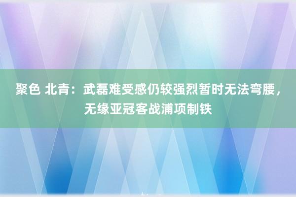 聚色 北青：武磊难受感仍较强烈暂时无法弯腰，无缘亚冠客战浦项制铁