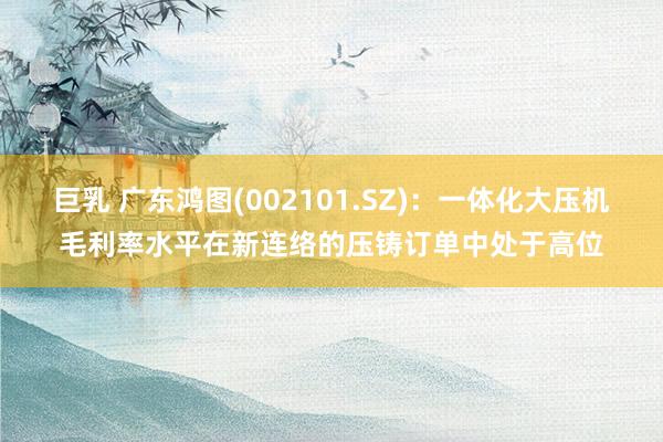 巨乳 广东鸿图(002101.SZ)：一体化大压机毛利率水平在新连络的压铸订单中处于高位