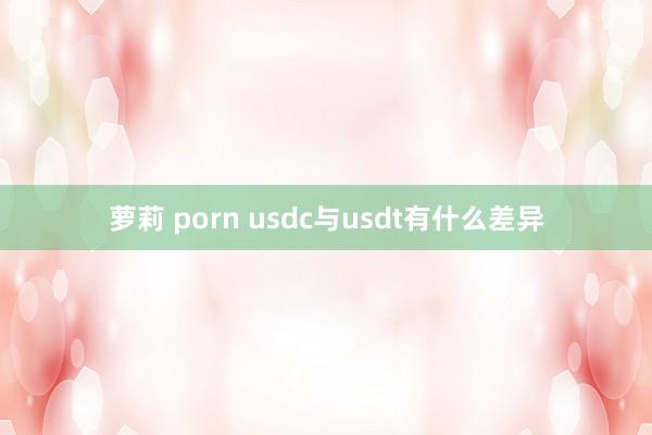 萝莉 porn usdc与usdt有什么差异