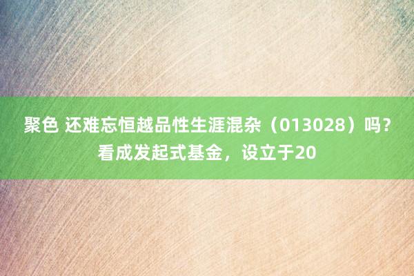 聚色 还难忘恒越品性生涯混杂（013028）吗？看成发起式基金，设立于20