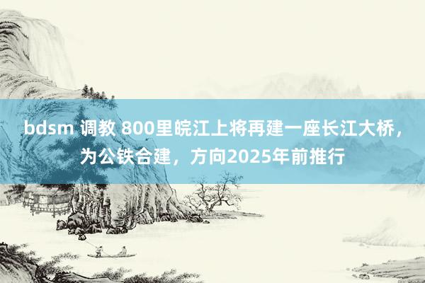 bdsm 调教 800里皖江上将再建一座长江大桥，为公铁合建，方向2025年前推行