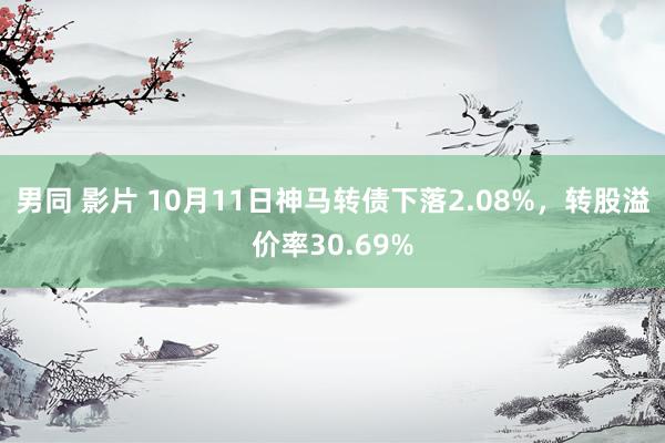 男同 影片 10月11日神马转债下落2.08%，转股溢价率30.69%