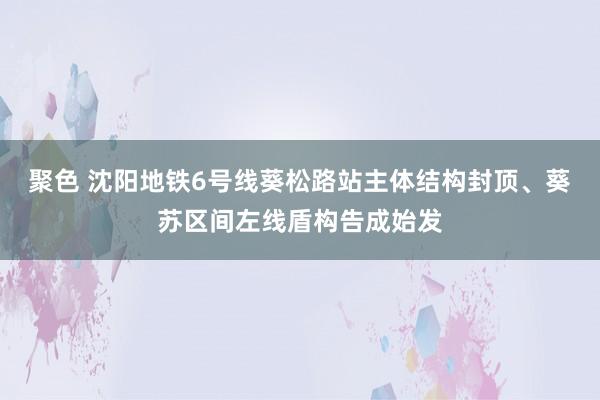 聚色 沈阳地铁6号线葵松路站主体结构封顶、葵苏区间左线盾构告成始发