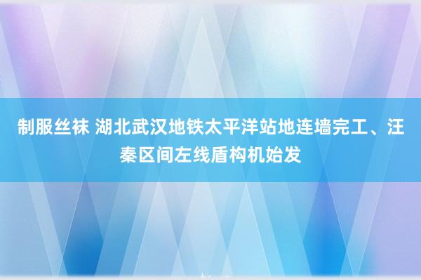 制服丝袜 湖北武汉地铁太平洋站地连墙完工、汪秦区间左线盾构机始发