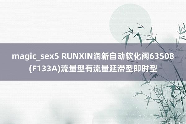 magic_sex5 RUNXIN润新自动软化阀63508(F133A)流量型有流量延滞型即时型