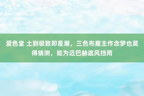 爱色堂 土到极致即是潮，三色布雇主作念梦也莫得猜测，能为迈巴赫遮风挡雨