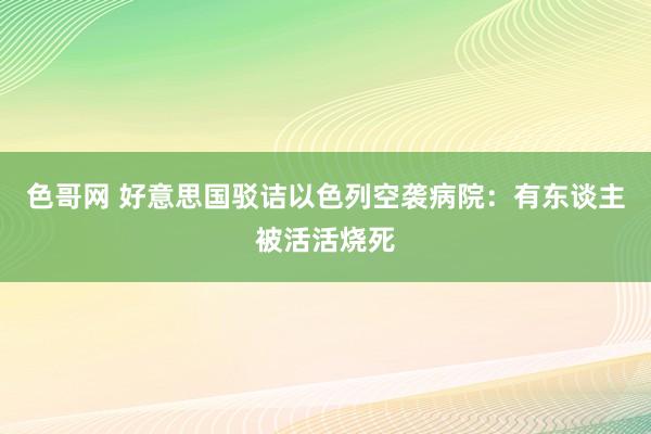 色哥网 好意思国驳诘以色列空袭病院：有东谈主被活活烧死