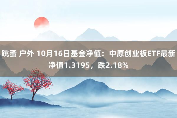 跳蛋 户外 10月16日基金净值：中原创业板ETF最新净值1.3195，跌2.18%