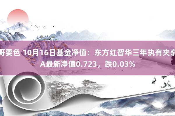 哥要色 10月16日基金净值：东方红智华三年执有夹杂A最新净值0.723，跌0.03%