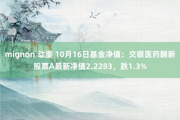 mignon 动漫 10月16日基金净值：交银医药翻新股票A最新净值2.2283，跌1.3%