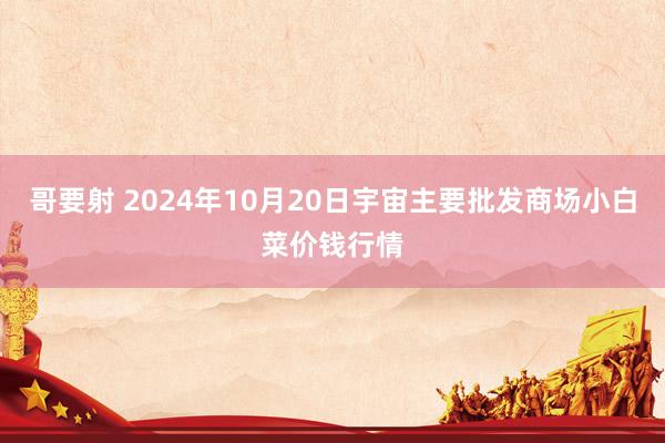 哥要射 2024年10月20日宇宙主要批发商场小白菜价钱行情