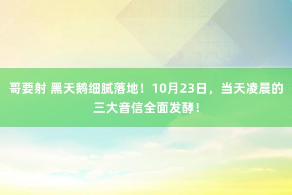 哥要射 黑天鹅细腻落地！10月23日，当天凌晨的三大音信全面发酵！