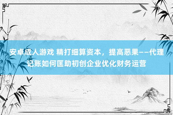 安卓成人游戏 精打细算资本，提高恶果——代理记账如何匡助初创企业优化财务运营