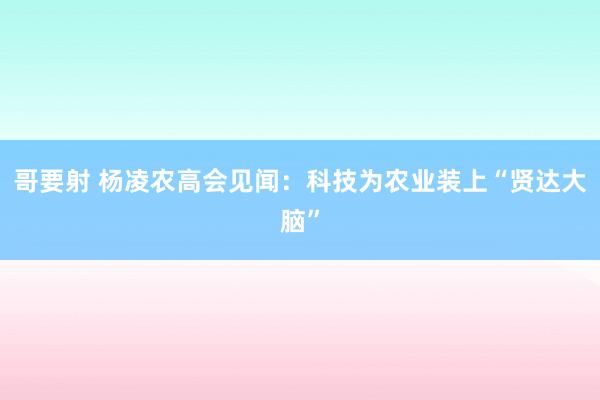 哥要射 杨凌农高会见闻：科技为农业装上“贤达大脑”