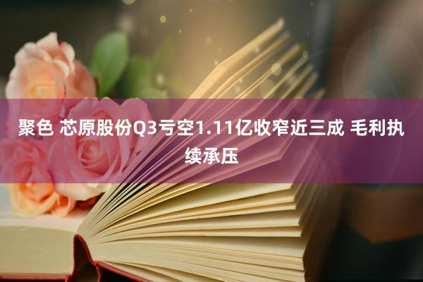 聚色 芯原股份Q3亏空1.11亿收窄近三成 毛利执续承压