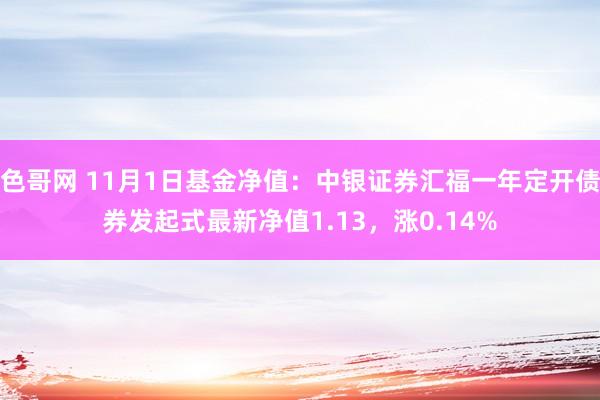 色哥网 11月1日基金净值：中银证券汇福一年定开债券发起式最新净值1.13，涨0.14%