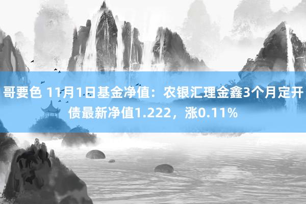 哥要色 11月1日基金净值：农银汇理金鑫3个月定开债最新净值1.222，涨0.11%