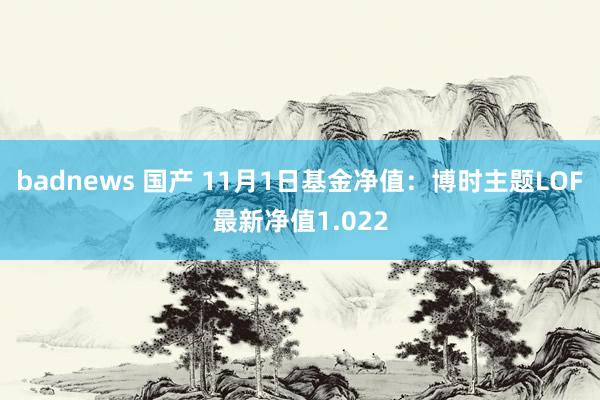 badnews 国产 11月1日基金净值：博时主题LOF最新净值1.022