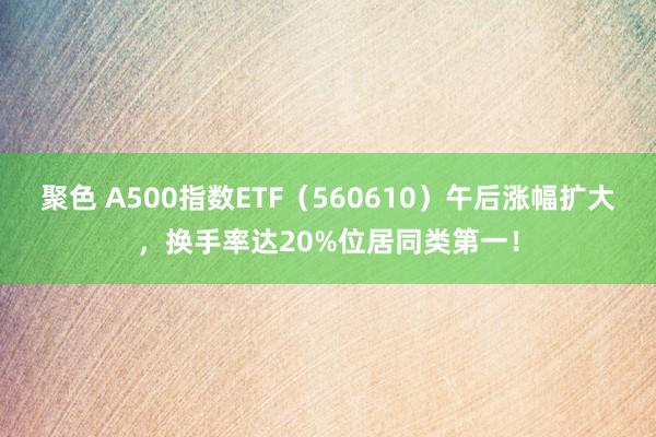 聚色 A500指数ETF（560610）午后涨幅扩大，换手率达20%位居同类第一！