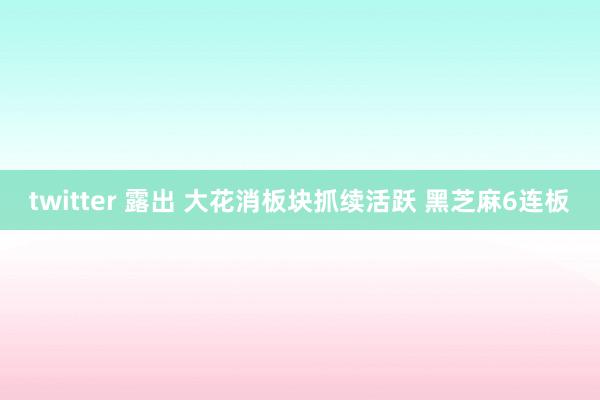 twitter 露出 大花消板块抓续活跃 黑芝麻6连板