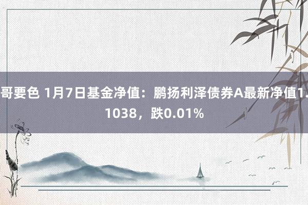 哥要色 1月7日基金净值：鹏扬利泽债券A最新净值1.1038，跌0.01%