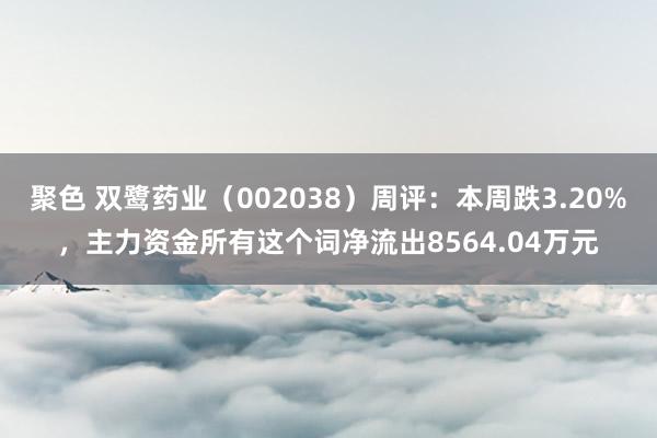 聚色 双鹭药业（002038）周评：本周跌3.20%，主力资金所有这个词净流出8564.04万元