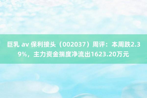 巨乳 av 保利接头（002037）周评：本周跌2.39%，主力资金揣度净流出1623.20万元