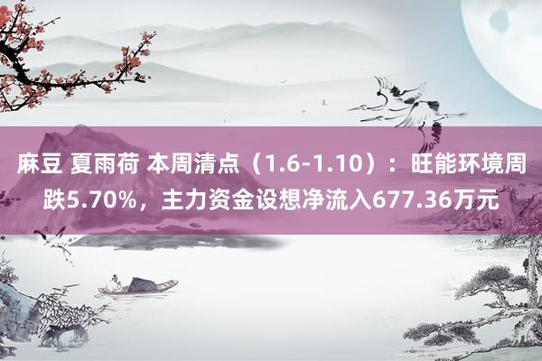 麻豆 夏雨荷 本周清点（1.6-1.10）：旺能环境周跌5.70%，主力资金设想净流入677.36万元