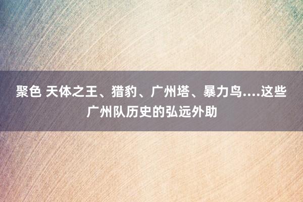 聚色 天体之王、猎豹、广州塔、暴力鸟....这些广州队历史的弘远外助