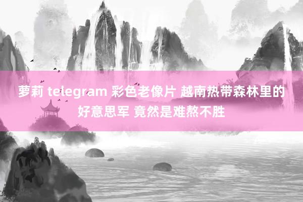 萝莉 telegram 彩色老像片 越南热带森林里的好意思军 竟然是难熬不胜