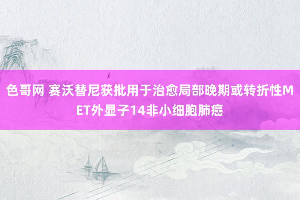 色哥网 赛沃替尼获批用于治愈局部晚期或转折性MET外显子14非小细胞肺癌