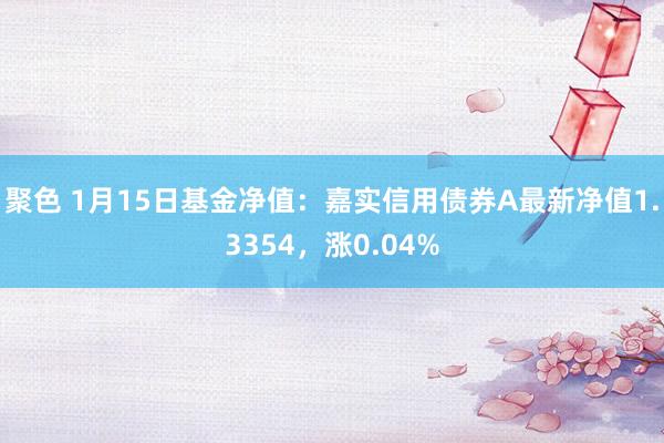 聚色 1月15日基金净值：嘉实信用债券A最新净值1.3354，涨0.04%