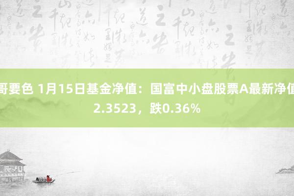 哥要色 1月15日基金净值：国富中小盘股票A最新净值2.3523，跌0.36%