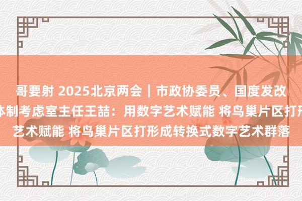 哥要射 2025北京两会｜市政协委员、国度发改委城乡会通与区域合营体制考虑室主任王喆：用数字艺术赋能 将鸟巢片区打形成转换式数字艺术群落